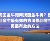 挽回金牛如何挽回金牛男？挽回金牛最有效的方法挽回金牛男最有效的方法