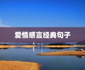 爱情感言经典句子