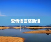 爱情语言感动话