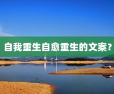 自我重生自愈重生的文案？