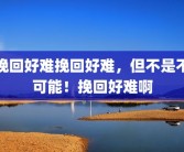 挽回好难挽回好难，但不是不可能！挽回好难啊