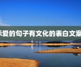 示爱的句子有文化的表白文案？