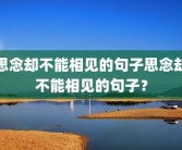 思念却不能相见的句子思念却不能相见的句子？