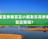 宝宝参赛宣言小朋友乐高参赛宣言简短？