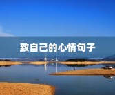致自己的心情句子
