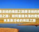 唐泽扬的挽回之路唐泽扬的挽回之路：如何重建失落的爱情关系唐泽杨的挽回之路