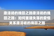 唐泽扬的挽回之路唐泽扬的挽回之路：如何重建失落的爱情关系唐泽杨的挽回之路