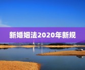 新婚姻法2020年新规