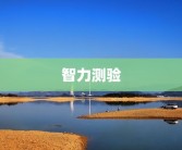 智力测验