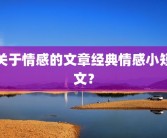 关于情感的文章经典情感小短文？