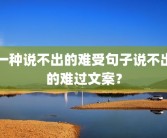 一种说不出的难受句子说不出的难过文案？