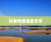 抖音情感语录文字