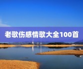 老歌伤感情歌大全100首