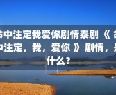 命中注定我爱你剧情泰剧 《 命中注定，我，爱你 》 剧情，是什么？