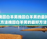 挽回白羊男挽回白羊男的最好方法挽回白羊男的最好方法