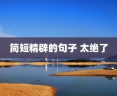 简短精辟的句子 太绝了