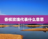 香槟玫瑰代表什么意思