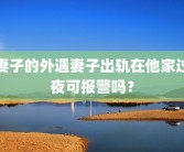 妻子的外遇妻子出轨在他家过夜可报警吗？