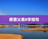 感恩父亲8字短句