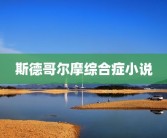 斯德哥尔摩综合症小说