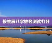 按生辰八字姓名测试打分