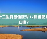 十二生肖最佳配对12属相配顺口溜？