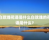 白玫瑰花语是什么白玫瑰的花语是什么？