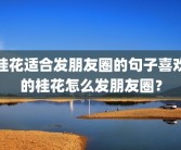 桂花适合发朋友圈的句子喜欢的桂花怎么发朋友圈？