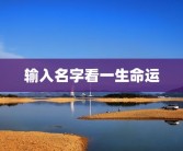 输入名字看一生命运