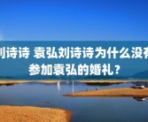 刘诗诗 袁弘刘诗诗为什么没有参加袁弘的婚礼？