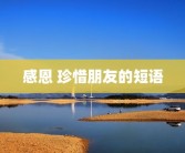 感恩 珍惜朋友的短语
