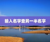 输入名字查另一半名字
