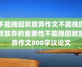 不能挽回就放弃作文不能挽回就放弃的重要性不能挽回就放弃作文800字议论文