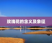 玫瑰花的含义及象征