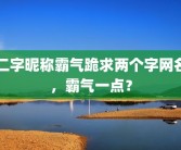 二字昵称霸气跪求两个字网名，霸气一点？