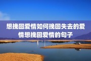 想挽回爱情如何挽回失去的爱情想挽回爱情的句子