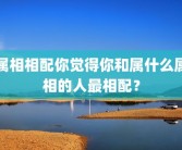 属相相配你觉得你和属什么属相的人最相配？