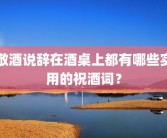 敬酒说辞在酒桌上都有哪些实用的祝酒词？
