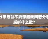 分手后就不要想起我网恋分手后听什么歌？