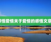 感悟爱情关于爱情的感悟文章？