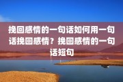 挽回感情的一句话如何用一句话挽回感情？挽回感情的一句话短句
