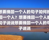 想要挽回一个人的句子如何挽回一个人？想要挽回一个人的句子说说想要挽回一个人的句子说说