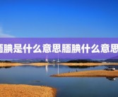 腼腆是什么意思腼腆什么意思？
